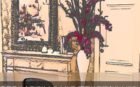 客厅里的大花瓶放在什么位置(客厅放花瓶有什么讲究)