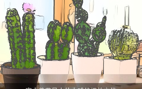 家中养花风水仙人球的摆放方位