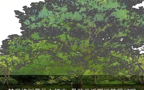 梦见槐树是什么征兆 是预示近期运势很好吗