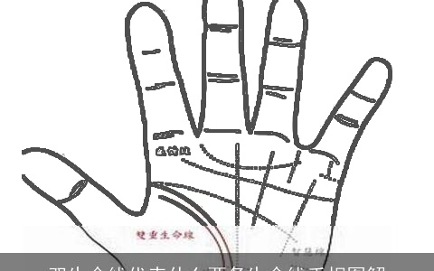 双生命线代表什么两条生命线手相图解