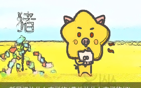 新居摆放什么吉祥物(墓地放什么吉祥物好)