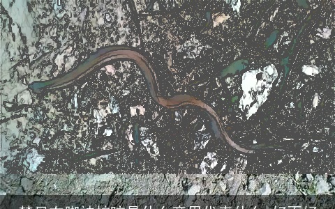 梦见右脚被蛇咬是什么意思代表什么 好不好