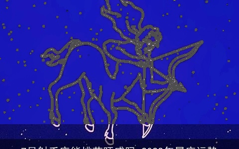 7月射手座能桃花旺盛吗 2022年星座运势