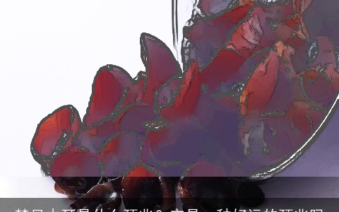 梦见木耳是什么预兆？它是一种好运的预兆吗