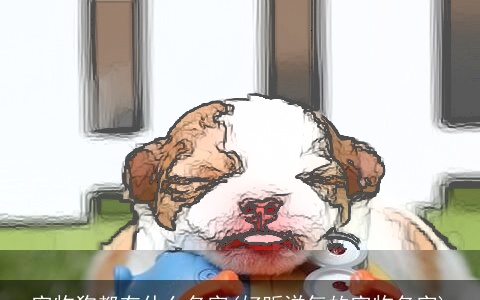 宠物狗都有什么名字(好听洋气的宠物名字)