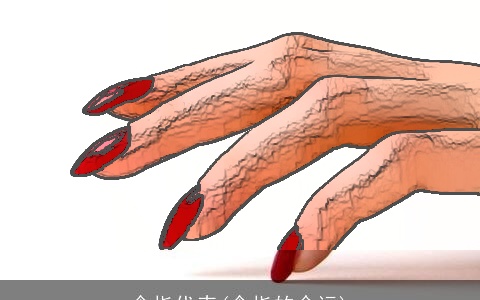 食指代表(食指的命运)