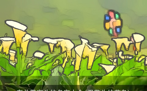 有关草字头的名字大全(双草头的花名)