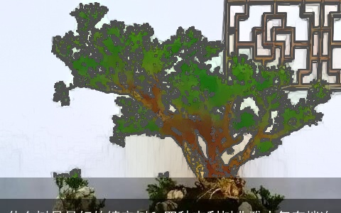 什么树是最好的镇宅树？四种吉利树典雅大气有档次