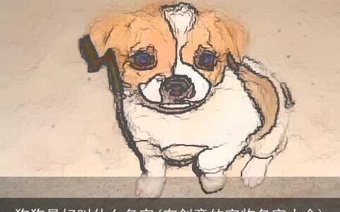 狗狗最好叫什么名字(有创意的宠物名字大全)