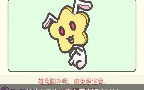 做什么工作一定要有人陪的属相