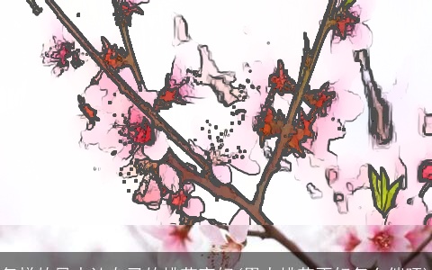 怎样的风水让自己的桃花变好(男人桃花不好怎么催旺)