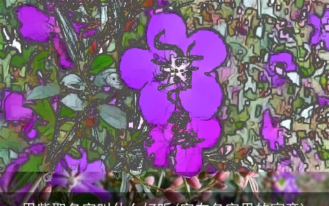 用紫取名字叫什么好听(字在名字里的寓意)