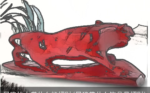 属鸡的人带什么能招财(属猪带什么饰品最招财)