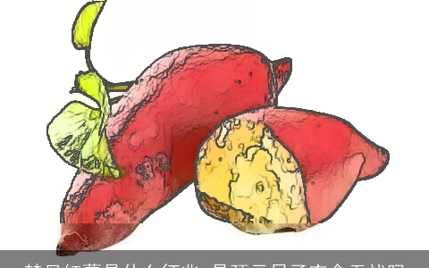 梦见红薯是什么征兆 是预示日子衣食无忧吗