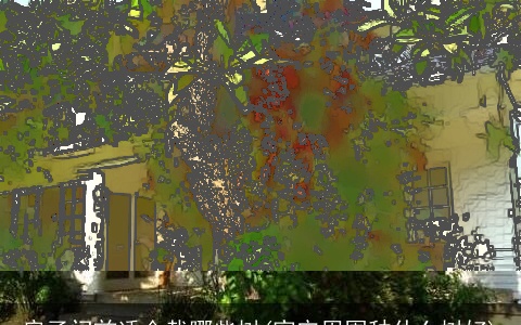 房子门前适合栽哪些树(家宅周围种什么树好)