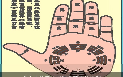 金水土的三才配置数理吉凶详解