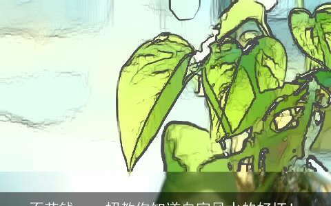 不花钱，一招教你知道自家风水的好坏！