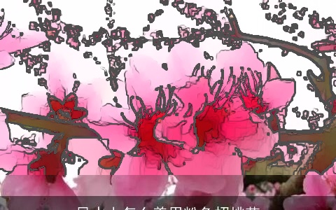 风水上怎么善用粉色招桃花