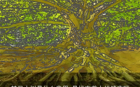 梦见大树是什么意思 是标志着人的健康吗