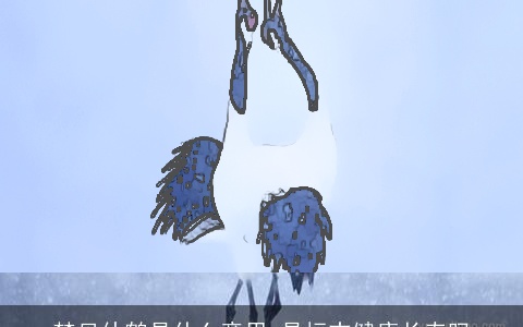 梦见仙鹤是什么意思 是标志健康长寿吗