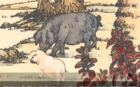 属猪的几月出世最好？这三个月份出世属猪男有福气