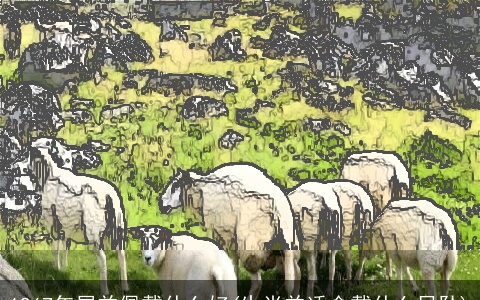 1967年属羊佩戴什么好(生肖羊适合戴什么吊坠)