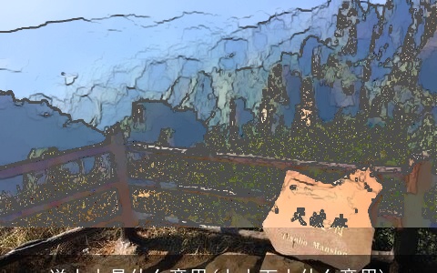 送上山是什么意思(上山下山什么意思)