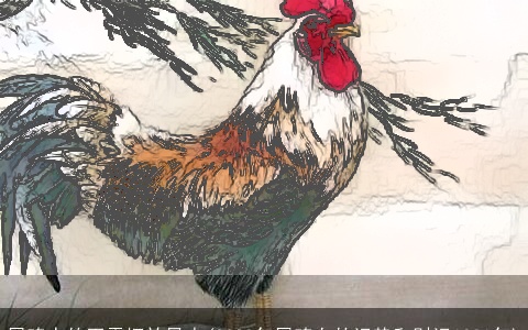 属鸡人的玉露摆放风水(2023年属鸡女的运势和财运1981年)