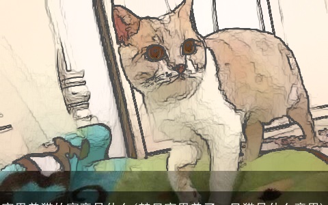 家里养猫的寓意是什么(梦见家里养了一只猫是什么意思)