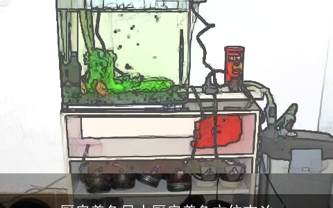 厨房养鱼风水厨房养鱼方位吉凶