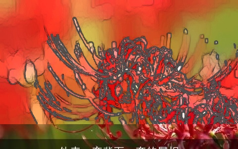 外表一套背面一套的属相