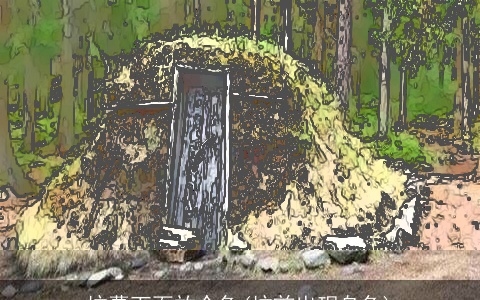 坟墓下面放个龟(坟前出现乌龟)