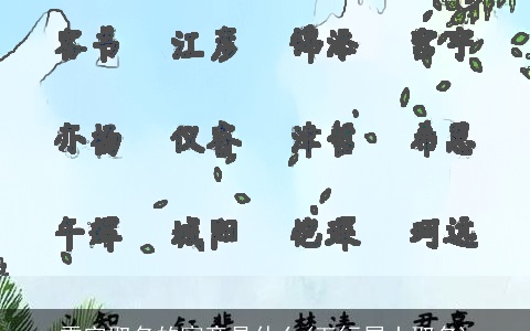 雪字取名的寓意是什么(五行属土取名)