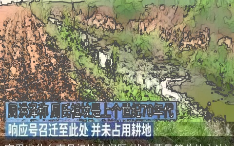 家里出什么事是祖坟的问题(找坟墓最简单的方法)