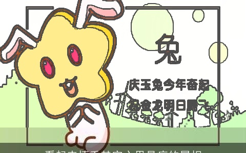 看起来慎重其实心里最疯的属相