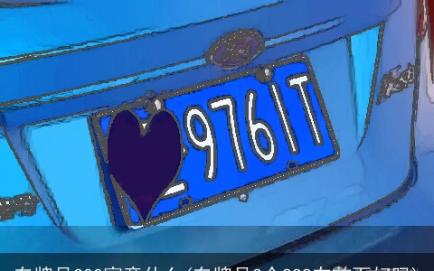 车牌号300寓意什么(车牌号3个888在前面好吗)