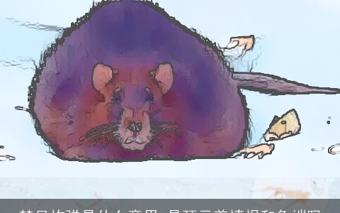 梦见炸弹是什么意思 是预示着愤恨和争端吗