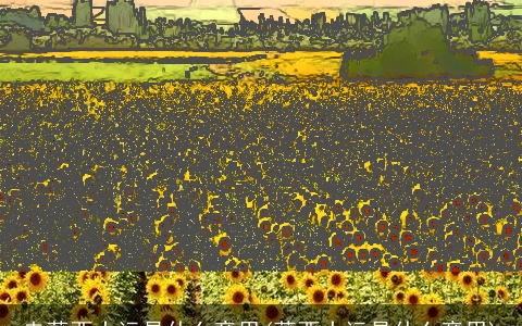 走葵酉大运是什么意思(葵酉大运是什么意思)