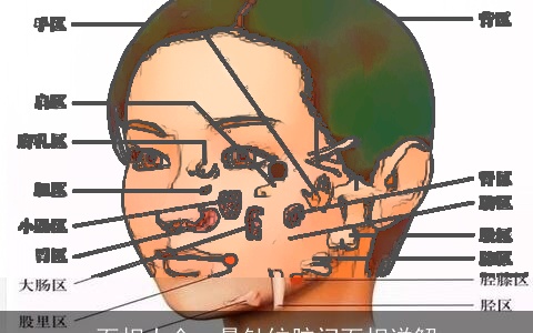 面相大全：悬针纹脑门面相详解