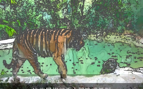 这些属相归于大器晚成类型