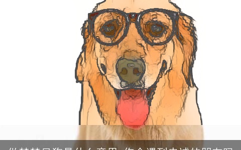 做梦梦见狗是什么意思 你会遇到忠诚的朋友吗