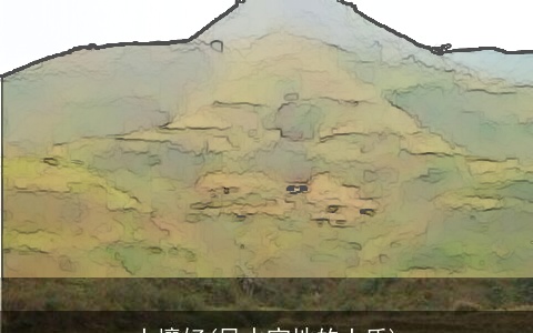 土壤好(风水宝地的土质)