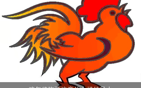 鸡年装饰要注意什么样的风水