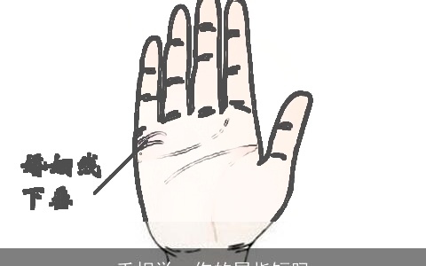 手相学：你的尾指短吗