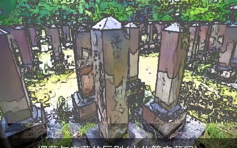 埋葬与安葬的区别(火化算安葬吗)