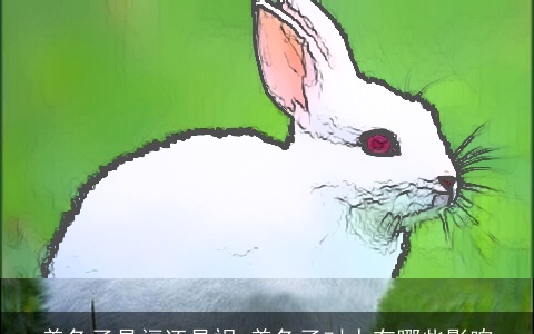 养兔子是福还是祸 养兔子对人有哪些影响