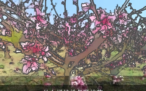 什么样的姓名旺桃花