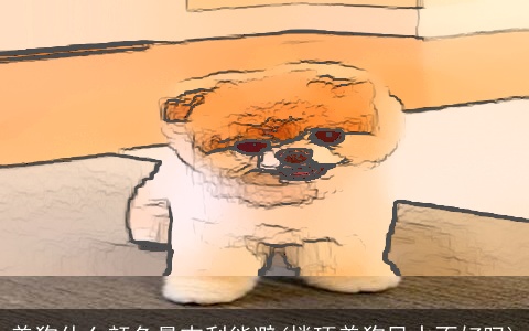 养狗什么颜色最吉利能避(楼顶养狗风水不好吗)