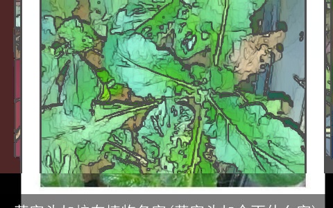 草字头加杭在植物名字(草字头加个丙什么字)