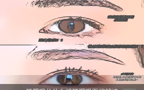 狐狸眼长什么样狐狸眼面相解读